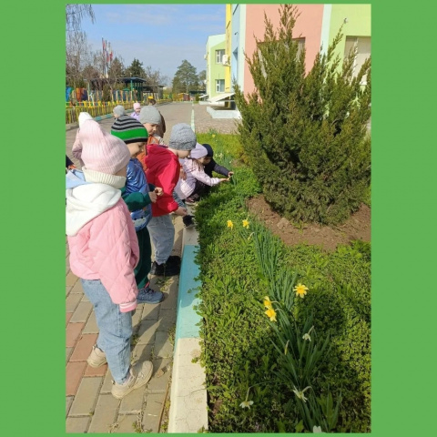 Первоцветы